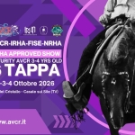 Immagine evento 6 Tappa Avcr – Irha – Fise – Nrha 2026 a Casale sul Sile (TV) 6 Tappa Avcr - Irha - Fise - Nrha 2026 a Casale sul Sile (TV) il 1 ottobre - 4 ottobre 2026