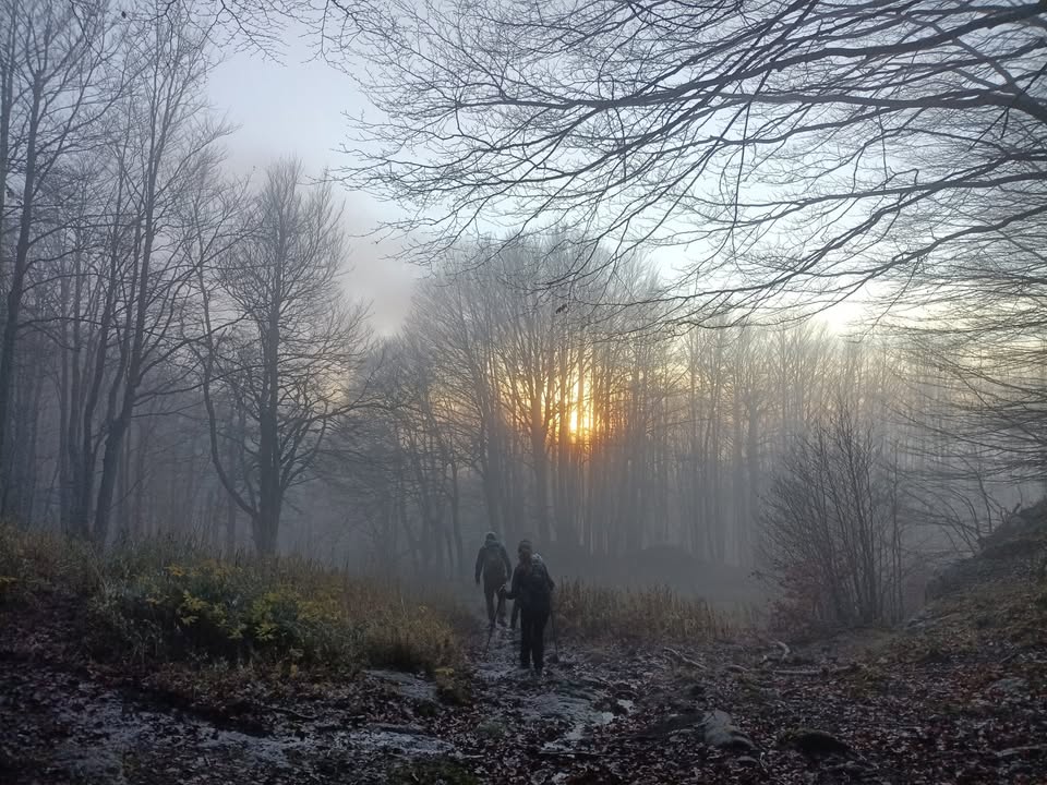 Evento Amiata, il Gigante Buono Locandina Amiata, il Gigante Buono - da venerdì 30 ottobre - domenica 1 novembre 2026 ore 13:00 ore 20:00