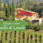 Immagine evento Anello di Lamole a Greve in Chianti (FI) Anello di Lamole a Greve in Chianti (FI) il 17 ottobre 2026