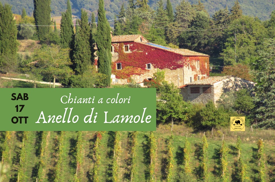 Evento Anello di Lamole Locandina Anello di Lamole - sabato 17 ottobre ore 09:30 - 16:30