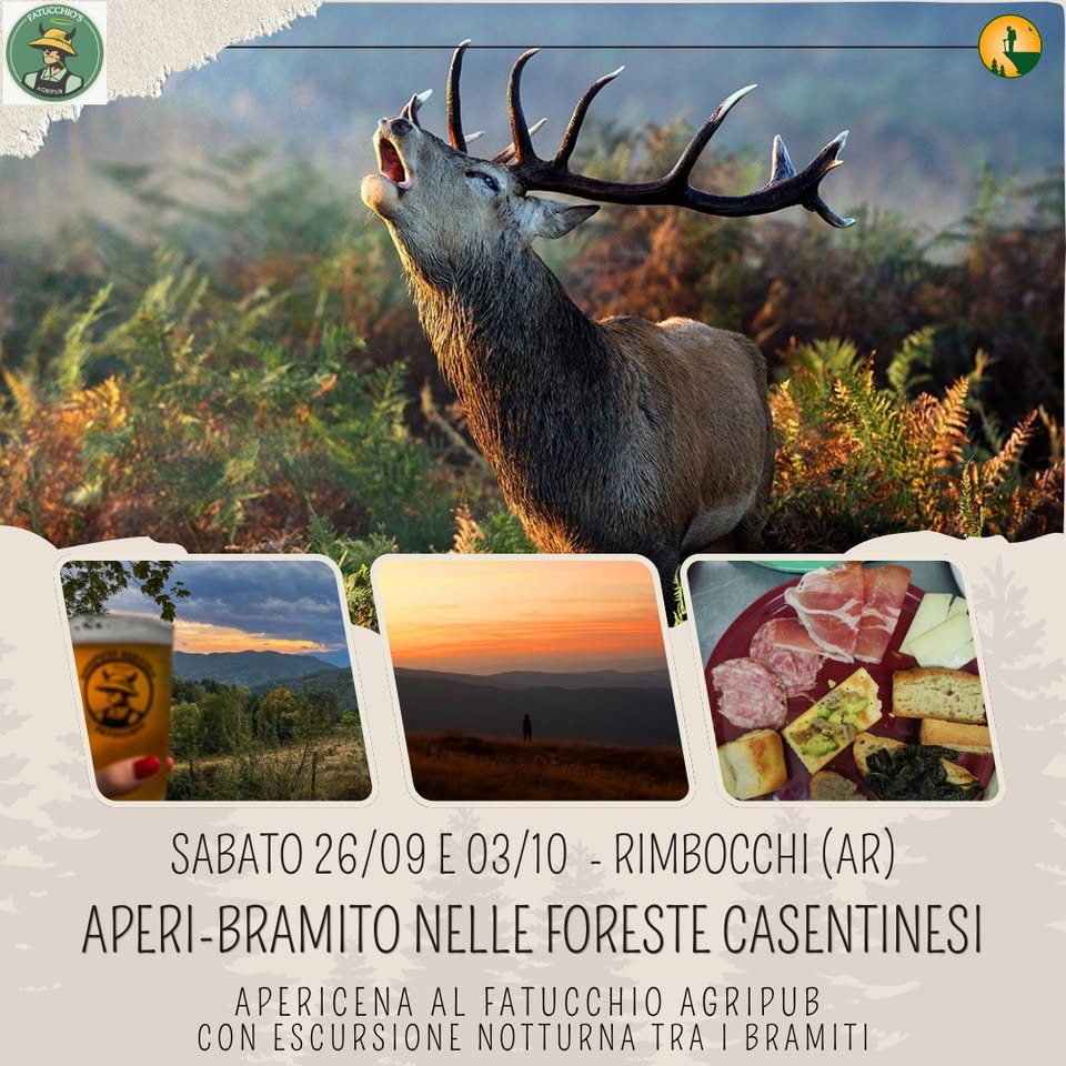 Evento Aperi – Bramito nelle Foreste Casentinesi – Aperitivo con escursione tra i bramiti Locandina Aperi – Bramito nelle Foreste Casentinesi – Aperitivo con escursione tra i bramiti - da sabato 26 settembre - sabato 3 ottobre 2026 ore 18:00 ore 23:00