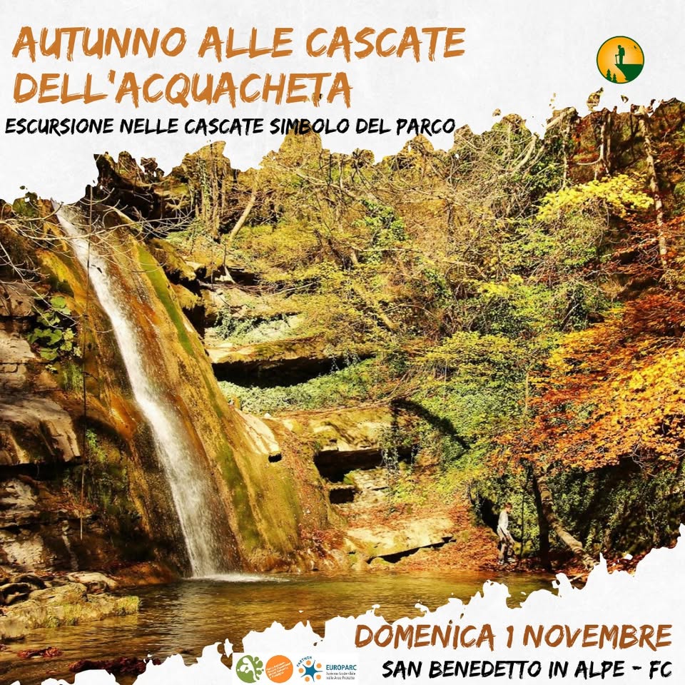 Evento Autunno alle Cascate dell’Acquacheta Escursione tra i colori dell’Autunno nella Cascata del Parco Locandina Autunno alle Cascate dell’Acquacheta Escursione tra i colori dell’Autunno nella Cascata del Parco - domenica 1 novembre ore 10:00 - 16:00