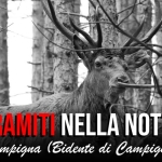 Immagine evento Bramiti nella notte – Campigna (Bidente di Campigna) a Santa Sofia (FC) Bramiti nella notte - Campigna (Bidente di Campigna) a Santa Sofia (FC) il 3 ottobre 2026