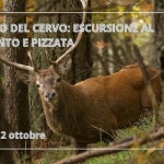 Immagine evento Bramito del cervo escursione al tramonto e pizza a Asiago (VI) Bramito del cervo escursione al tramonto e pizza a Asiago (VI) il 2 ottobre 2026