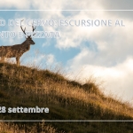 Immagine evento Bramito del cervo escursione al tramonto e pizza a Asiago (VI) Bramito del cervo escursione al tramonto e pizza a Asiago (VI) il 20 settembre 2026