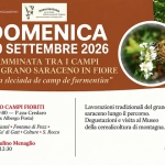 Immagine evento Camminata Tra I Campi di Grano Saraceno in Fiore a Teglio (SO) Camminata Tra I Campi di Grano Saraceno in Fiore a Teglio (SO) il 20 settembre 2026