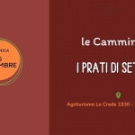 Immagine evento Camminate in natura – I PRATI DI SETTIMO a Portogruaro (VE) Camminate in natura - I PRATI DI SETTIMO a Portogruaro (VE) il 15 novembre 2026