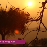 Immagine evento Campagna al tramonto escursione alla Gabriella e aperitivo ribelle a Senigallia (AN) May be a graphic of tree and text that says 'imeE LUNGHEZZA 午7km キ 7 km DISLIVELLO 120 120m m DIFFICOLTÀ BASSA T NIKI328.6762.576 NIKI 328.6762.576 PASSAMONTAGNA SCOFRILANATURA.CAMMIWHDO PASSAMONTANA CAMMI SCOPRI'