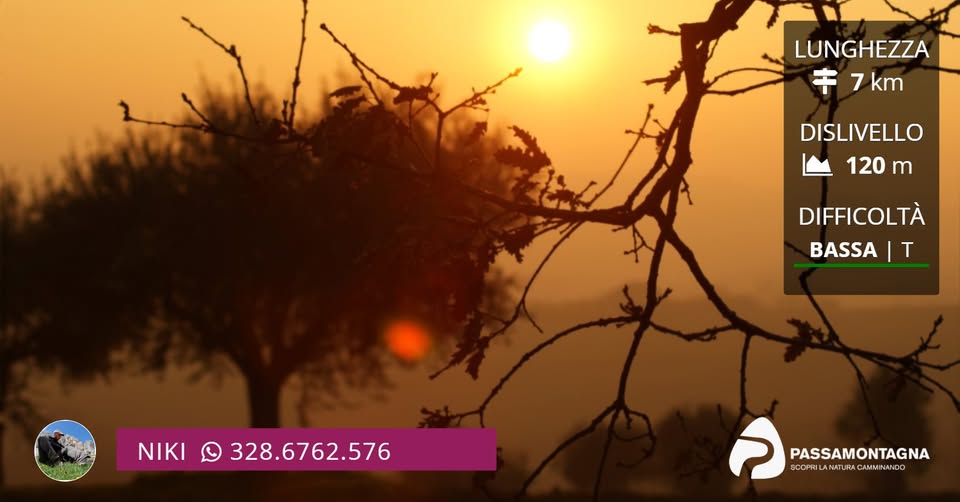 Evento Campagna al tramonto escursione alla Gabriella e aperitivo ribelle Locandina Campagna al tramonto escursione alla Gabriella e aperitivo ribelle - sabato 3 ottobre ore 16:00 - 20:00