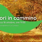 Immagine evento Colori in cammino a Fiorano Modenese (MO) Colori in cammino a Fiorano Modenese (MO) il 18 ottobre 2026