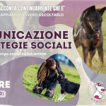 Immagine evento Comunicazione E Strategie Sociali a Imola (BO) Comunicazione E Strategie Sociali a Imola (BO) il 24 ottobre - 25 ottobre 2026
