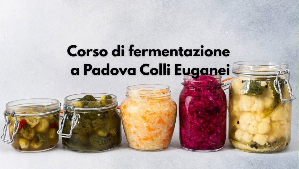 Evento Corso di Fermentazione a Padova Locandina Corso di Fermentazione a Padova - sabato 31 ottobre ore 09:30 - 17:30