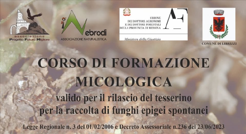 Evento Corso di formazione micologica Locandina Corso di formazione micologica - da giovedì 24 settembre - domenica 27 settembre 2026 ore 15:00 ore 20:00