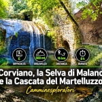 Immagine evento Corviano, la Selva di Malano e la Cascata del Martelluzzo a Soriano nel Cimino (VT) Corviano, la Selva di Malano e la Cascata del Martelluzzo a Soriano nel Cimino (VT) il 10 ottobre 2026