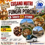 Immagine evento Cusano Mutri Sagra Dei Funghi Porcini Sabato 03/Ottobre a Scafati (SA) Cusano Mutri Sagra Dei Funghi Porcini Sabato 03/Ottobre a Scafati (SA) il 3 ottobre 2026