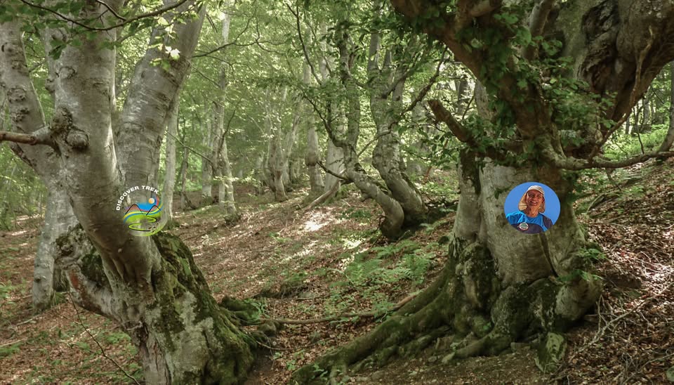 Evento Dalle vette del Terminillo alla magia del Bosco Sacro Locandina Dalle vette del Terminillo alla magia del Bosco Sacro - da sabato 3 ottobre - domenica 4 ottobre 2026 ore 10:00 ore 16:00