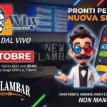 Immagine evento Dr.why – Quiz Dal Vivo – New Flanbar – Trento a Trento (TN) Dr.why - Quiz Dal Vivo - New Flanbar - Trento a Trento (TN) il 2 ottobre 2026