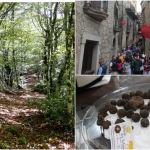 Immagine evento Escursione al Monte Pelato in occasione della XII sagra del tartufo di Capizzi a Bronte (CT) No photo description available.