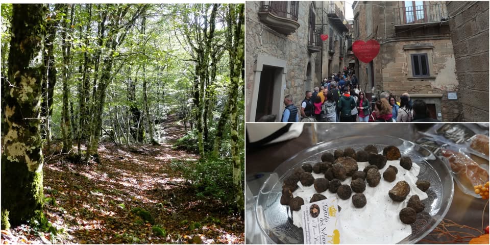 Evento Escursione al Monte Pelato in occasione della XII sagra del tartufo di Capizzi Locandina Escursione al Monte Pelato in occasione della XII sagra del tartufo di Capizzi - domenica 18 ottobre ore 09:00 - 11:00