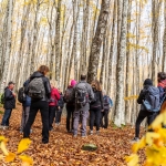 Immagine evento Escursioni sul Sentiero delle Foreste Sacre tappa n° 2 – AUTUNNO SLOW 2026 a San Benedetto in Alpe (FC) Escursioni sul Sentiero delle Foreste Sacre tappa n° 2 - AUTUNNO SLOW 2026 a San Benedetto in Alpe (FC) il 4 ottobre 2026
