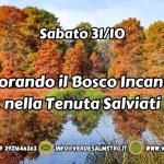 Immagine evento Esplorando il Bosco Incantato nella Tenuta Salviati a Vecchiano (PI) Esplorando il Bosco Incantato nella Tenuta Salviati a Vecchiano (PI) il 31 ottobre 2026