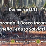 Immagine evento Esplorando il Bosco Incantato nella Tenuta Salviati a Vecchiano (PI) Esplorando il Bosco Incantato nella Tenuta Salviati a Vecchiano (PI) il 13 dicembre 2026