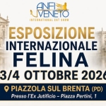 Immagine evento Esposizione Internazionale Felina – Piazzola sul Brenta 3 e 4 Ottobre ’26 a Piazzola sul Brenta (PD) Esposizione Internazionale Felina - Piazzola sul Brenta 3 e 4 Ottobre '26 a Piazzola sul Brenta (PD) il 3 ottobre - 4 ottobre 2026