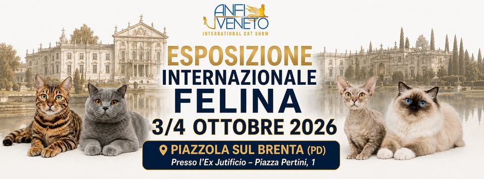 Evento Esposizione Internazionale Felina 2026 a Piazzola sul Brenta Locandina Esposizione Internazionale Felina 2026 a Piazzola sul Brenta - da sabato 3 ottobre - domenica 4 ottobre 2026 ore 09:00 ore 18:30