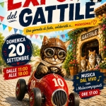 Immagine evento Expo Del Gattile a Conegliano (TV) Expo Del Gattile a Conegliano (TV) il 20 settembre 2026