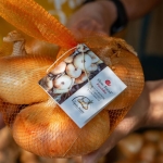 Immagine evento Fiera della Cipolla Bionda 2026 a Fontaneto – 16° Mercato della Terra delle Colline Novaresi a Fontaneto d’Agogna (NO) Fiera della Cipolla Bionda 2026 a Fontaneto - 16° Mercato della Terra delle Colline Novaresi a Fontaneto d'Agogna (NO) il 19 settembre - 20 settembre 2026