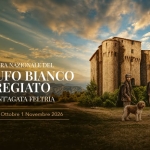 Immagine evento Fiera Nazionale del Tartufo Bianco Pregiato a Sant’Agata Feltria (RN) Fiera Nazionale del Tartufo Bianco Pregiato a Sant'Agata Feltria (RN) il 4 ottobre ottobre - 1 novembre 2026