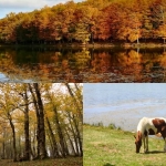 Foliage al Lago Maulazzo il Parco dei Nebrodi in autunno a Cesarò (ME) il 14 novembre 2026
