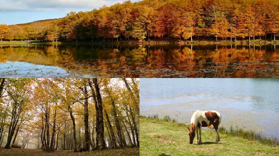 Evento Foliage al Lago Maulazzo il Parco dei Nebrodi in autunno Locandina Foliage al Lago Maulazzo il Parco dei Nebrodi in autunno - sabato 14 novembre ore 10:15 - 16:00