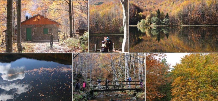 Evento Foliage in Riserva emozioni di colori, riflessi e atmosfere Locandina Foliage in Riserva emozioni di colori, riflessi e atmosfere - domenica 11 ottobre ore 09:30 - 11:30