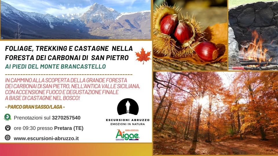 Evento Foliage, Trekking e Castagne nella suggestiva Foresta dei Carbonai di San Pietro (TE) Locandina Foliage, Trekking e Castagne nella suggestiva Foresta dei Carbonai di San Pietro (TE) - sabato 24 ottobre ore 09:30 - 16:00