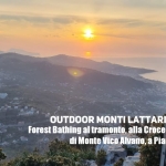 Immagine evento Forest Bathing al tramonto alla Croce del Redentore di Monte Vico Alvano a Piano di Sorrento. a Piano di Sorrento (NA) Forest Bathing al tramonto alla Croce del Redentore di Monte Vico Alvano a Piano di Sorrento. a Piano di Sorrento (NA) il 18 settembre 2026