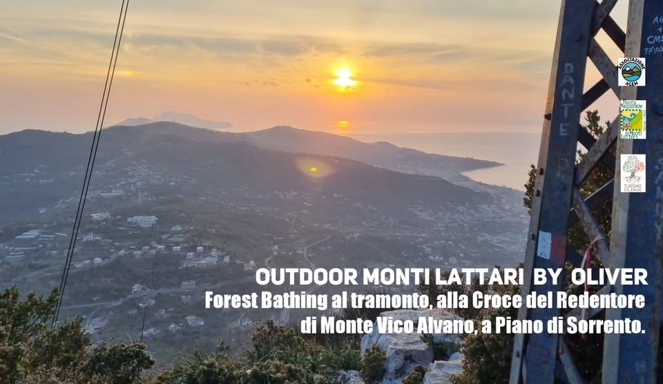 Evento Forest Bathing al tramonto alla Croce del Redentore di Monte Vico Alvano a Piano di Sorrento. Locandina Forest Bathing al tramonto alla Croce del Redentore di Monte Vico Alvano a Piano di Sorrento. - venerdì 18 settembre ore 16:30 - 21:00