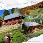 Immagine evento I Villaggi Cimbri Del Cansiglio a Caneva I Villaggi Cimbri Del Cansiglio a Caneva il 11 ottobre 2026