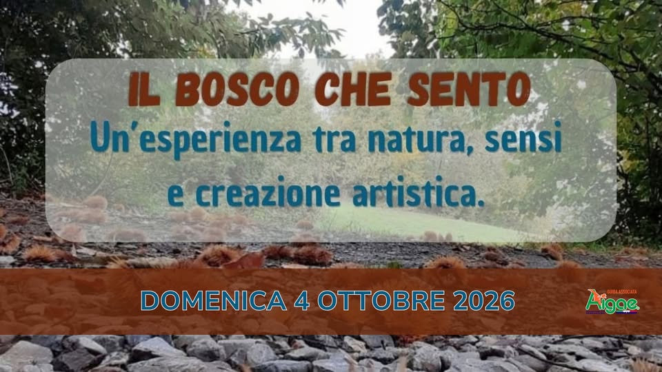 Evento Il bosco che sento Locandina Il bosco che sento - domenica 4 ottobre ore 09:30 - 11:30