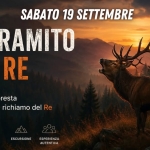 Immagine evento Il bramito del Re – Escursione Naturalistica Serale a Cappella Maggiore (TV) Il bramito del Re - Escursione Naturalistica Serale a Cappella Maggiore (TV) il 19 settembre 2026