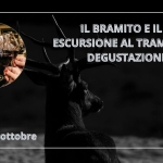 Immagine evento Il Bramito e il Calice escursione al tramonto e degustazione di vini a Asiago (VI) Il Bramito e il Calice escursione al tramonto e degustazione di vini a Asiago (VI) il 3 ottobre 2026