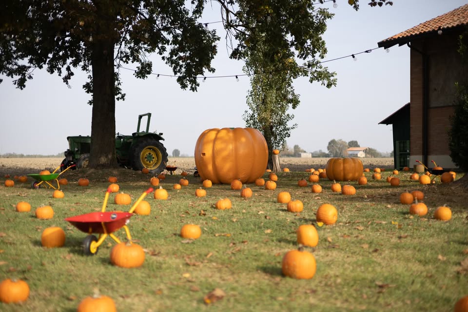 Evento Il Parco delle Zucche all’Agriturismo la Torretta Locandina Il Parco delle Zucche all’Agriturismo la Torretta - da sabato 3 ottobre - domenica 25 ottobre 2026 ore 11:00 ore 18:00