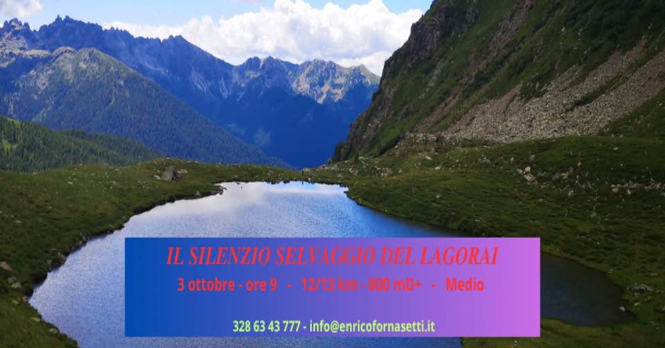 Evento Il Silenzio Selvaggio Del Lagorai Locandina Il Silenzio Selvaggio Del Lagorai - sabato 3 ottobre ore 09:00 - 11:00