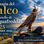 Immagine evento La magia del falco al castello di Acquafredda a Siliqua (CA) La magia del falco al castello di Acquafredda a Siliqua (CA) il 25 ottobre 2026