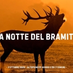 Immagine evento La Notte Del Bramito a Gallio (VI) La Notte Del Bramito a Gallio (VI) il 2 ottobre 2026