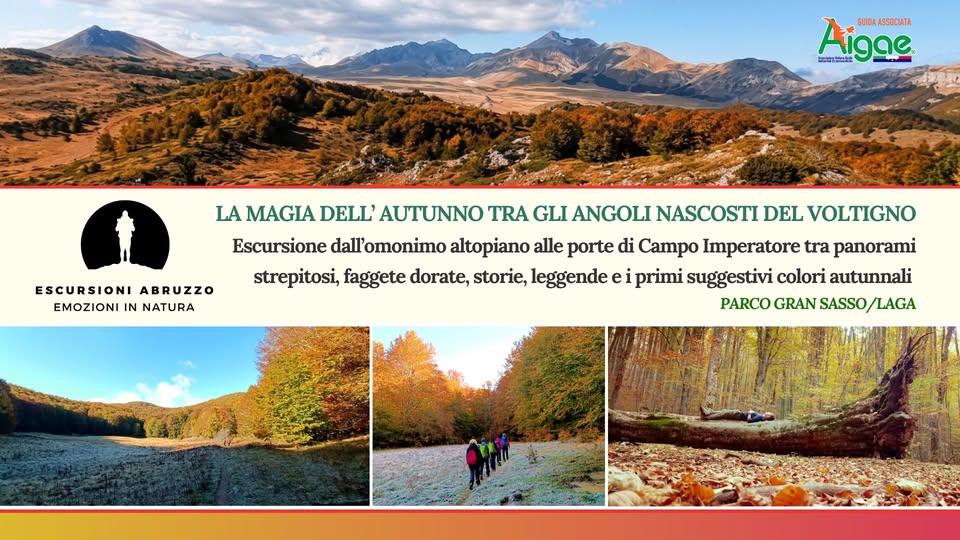 Evento L’Autunno tra gli angoli nascosti del Voltigno dall’altopiano alle porte di Campo Imperatore Locandina L’Autunno tra gli angoli nascosti del Voltigno dall’altopiano alle porte di Campo Imperatore - sabato 17 ottobre ore 09:00 - 15:30