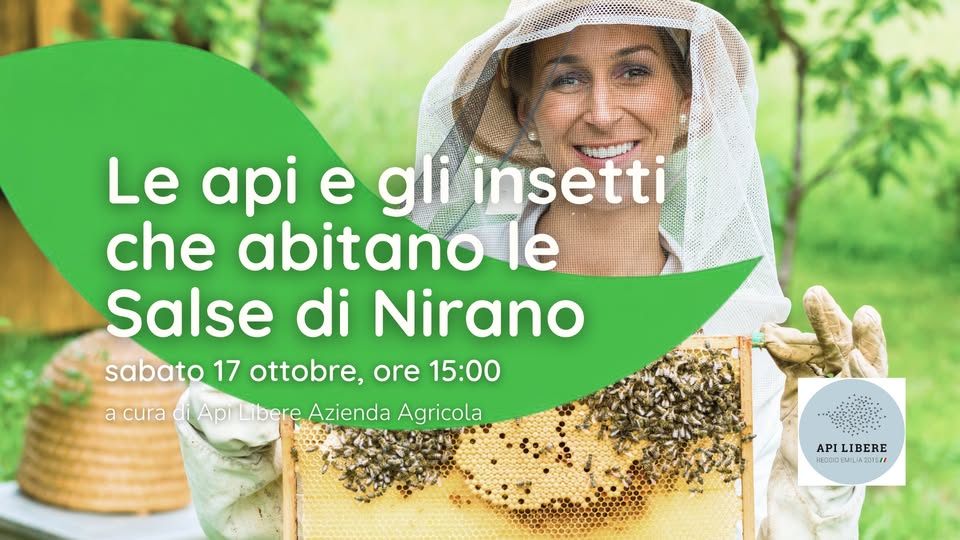 Evento Le api e gli insetti che abitano le Salse di Nirano Locandina Le api e gli insetti che abitano le Salse di Nirano - sabato 17 ottobre ore 15:00 - 17:00