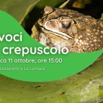 Immagine evento Le voci del crepuscolo a Fiorano Modenese (MO) Le voci del crepuscolo a Fiorano Modenese (MO) il 11 ottobre 2026