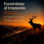 Immagine evento LE VOCI DELLA FORESTA, alla scoperta del bramito del Cervo e altri animali che popolano i boschi a Asiago (VI) LE VOCI DELLA FORESTA, alla scoperta del bramito del Cervo e altri animali che popolano i boschi a Asiago (VI) il 10 ottobre 2026