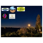 Immagine evento Luna piena nelle Crete – trekking fra tramonto e notte a Montalcino (SI) Luna piena nelle Crete - trekking fra tramonto e notte a Montalcino (SI) il 26 settembre 2026